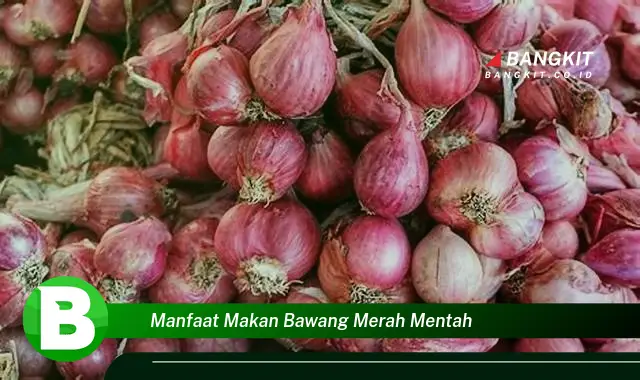 Temukan Manfaat Makan Bawang Merah Mentah yang Wajib Kamu Intip