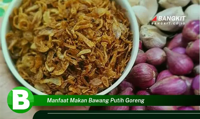 Intip Manfaat Mengonsumsi Bawang Putih Goreng yang Wajib Kamu Tau