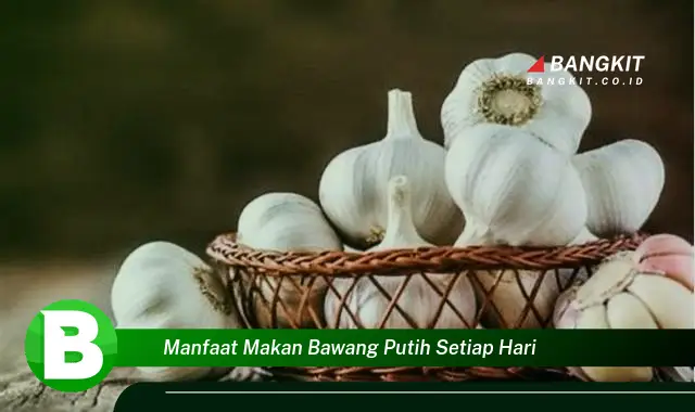 Temukan Manfaat Makan Bawang Putih Tiap Hari yang Bikin Kamu Penasaran