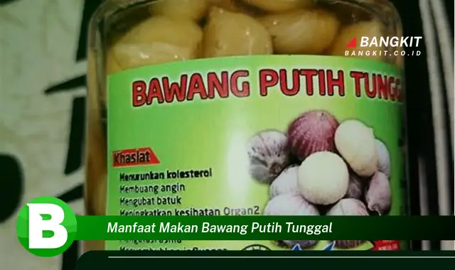 Temukan Manfaat Bawang Putih Tunggal yang Bikin Kamu Penasaran