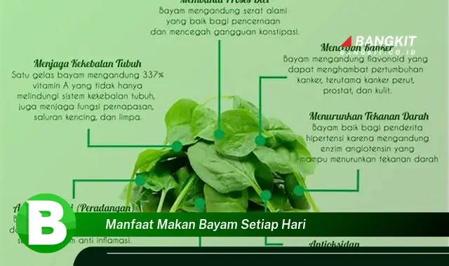 Intip Manfaat Makan Bayam Setiap Hari yang Wajib Kamu Tau