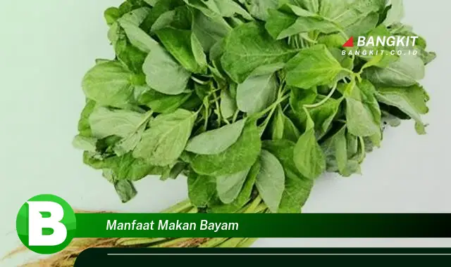 Intip Manfaat Makan Bayam yang Bikin Kamu Penasaran