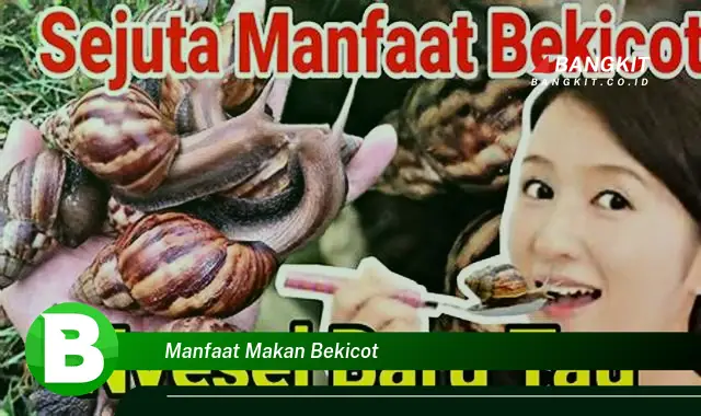 Intip Manfaat Makan Bekicot yang Bikin Kamu Penasaran