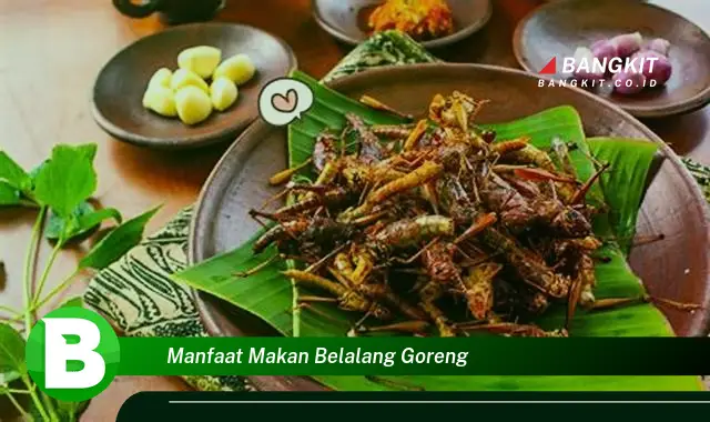 Temukan Manfaat Makan Belalang Goreng yang Wajib Kamu Intip