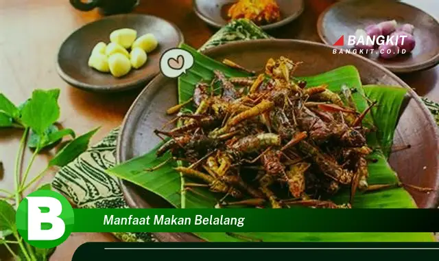 Ketahui Manfaat Makan Belalang yang Bikin Kamu Penasaran