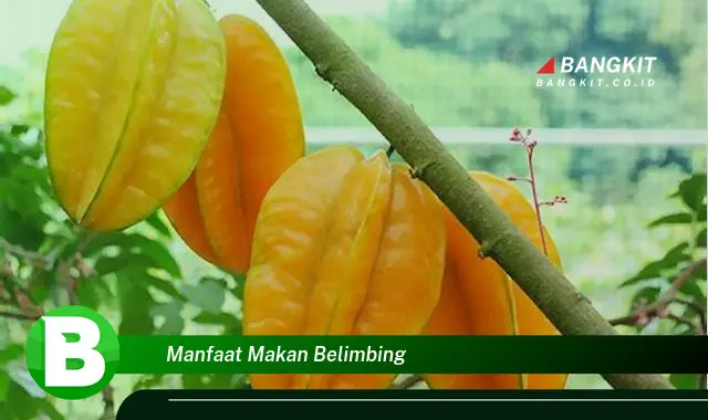 Intip Manfaat Makan Belimbing yang Bikin Kamu Penasaran