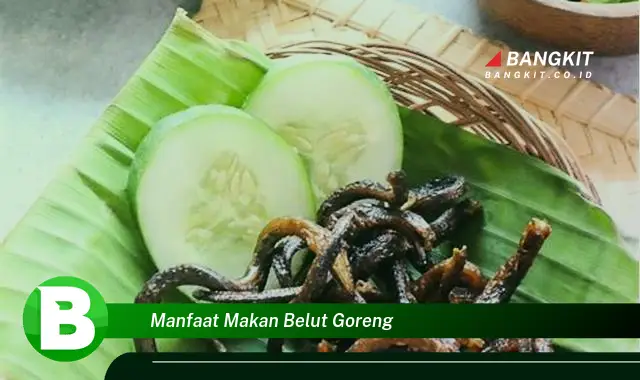 Intip Manfaat Makan Belut Goreng yang Bikin Kamu Penasaran