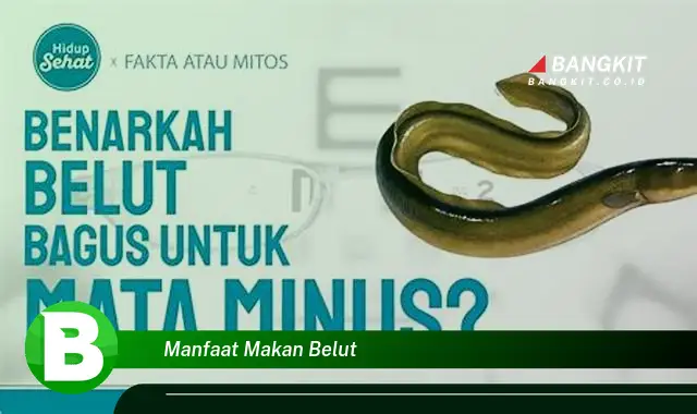 Temukan Manfaat Makan Belut yang Wajib Kamu Intip