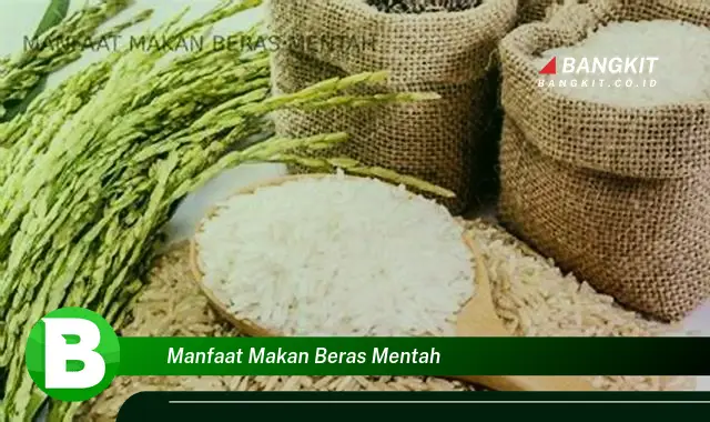 Intip Manfaat Makan Beras Mentah yang Bikin Kamu Penasaran