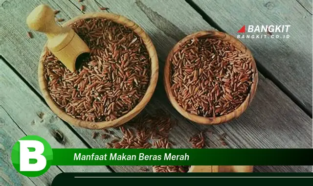 Temukan Manfaat Makan Beras Merah yang Bikin Kamu Penasaran