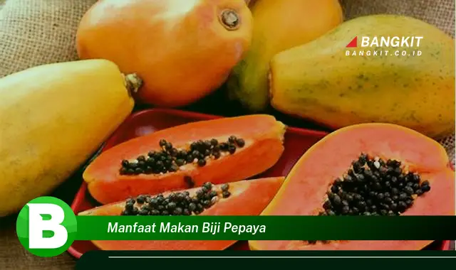 Temukan Manfaat Makan Biji Pepaya yang Bikin Kamu Penasaran