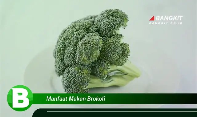 Temukan Manfaat Makan Brokoli yang Bikin Kamu Penasaran