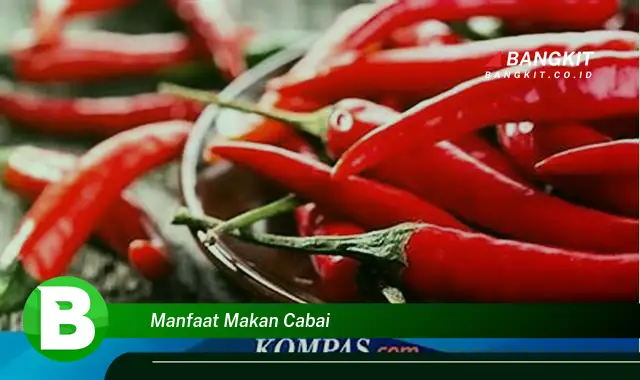 Temukan Manfaat Makan Cabai yang Wajib Kamu Intip