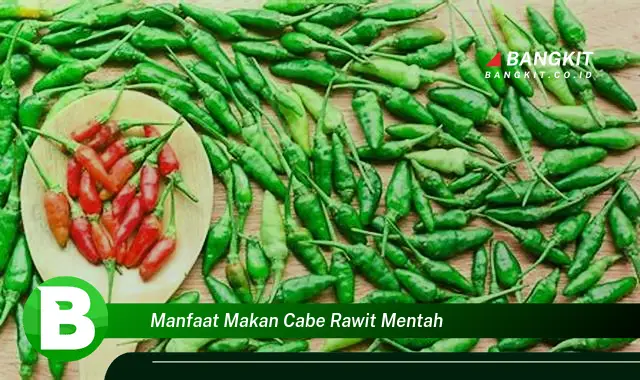 Temukan Manfaat Makan Cabe Rawit Mentah yang Bikin Kamu Penasaran