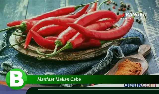 Intip Manfaat Makan Cabe yang Wajib Kamu Intip