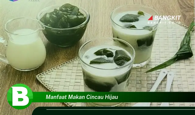 Intip Manfaat Makan Cincau Hijau yang Bikin Kamu Penasaran