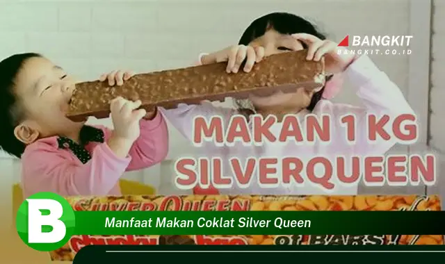 Intip Rahasia Manfaat Makan Coklat Silver Queen yang Wajib Kamu Tau