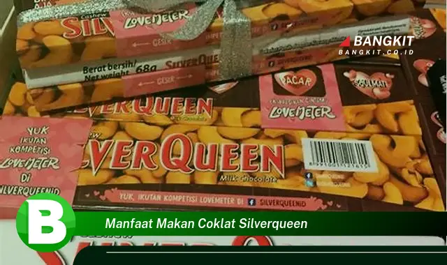 Ketahui Manfaat Makan Cokelat Silverqueen yang Bikin Kamu Penasaran