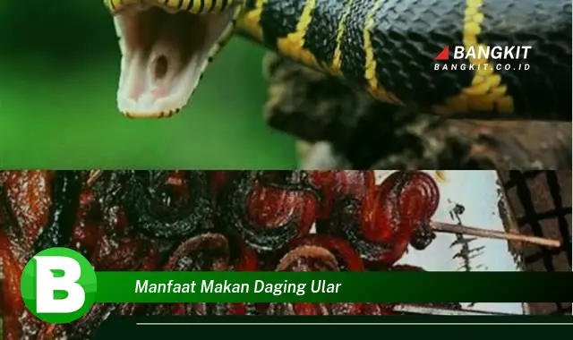 Temukan Manfaat Makan Daging Ular yang Bikin Kamu Penasaran