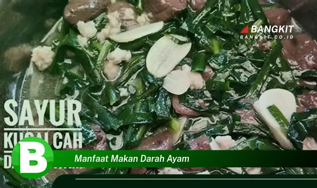 Intip Manfaat Makan Darah Ayam yang Wajib Kamu Tahu