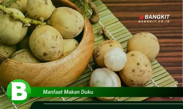 Temukan Manfaat Makan Duku yang Wajib Kamu Tau!