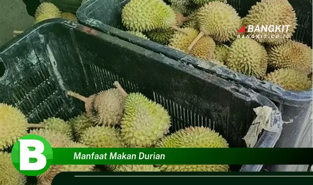 Ketahui Manfaat Makan Durian yang Bikin Kamu Penasaran