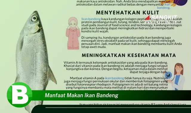 Intip Manfaat Makan Ikan Bandeng yang Bikin Kamu Penasaran