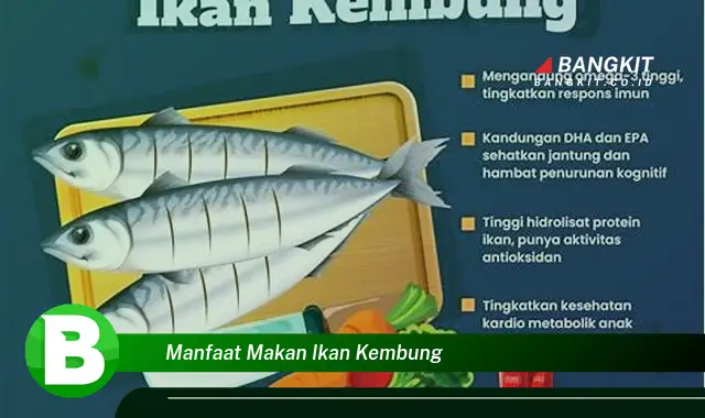 Ketahui Manfaat Makan Ikan Kembung yang Bikin Kamu Penasaran