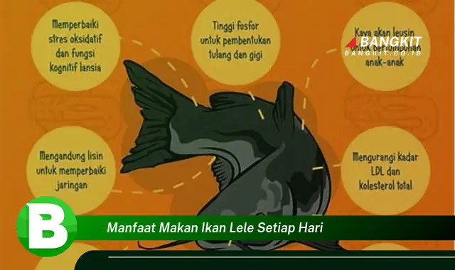 Intip Manfaat Dahsyat Makan Ikan Lele Setiap Hari yang Bikin Kamu Penasaran