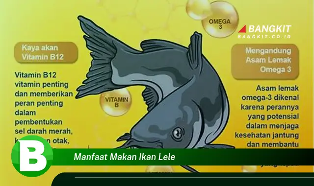 Intip Manfaat Makan Ikan Lele yang Wajib Kamu Tahu