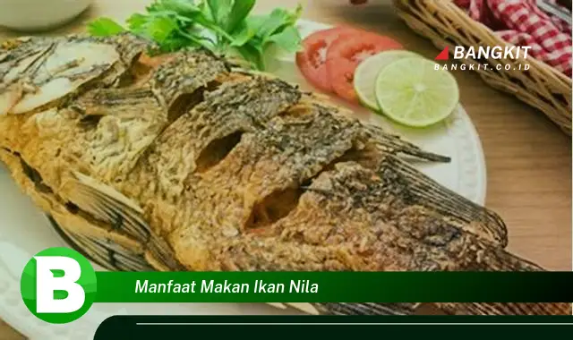 Ketahui Manfaat Makan Ikan Nila yang Bikin Kamu Penasaran