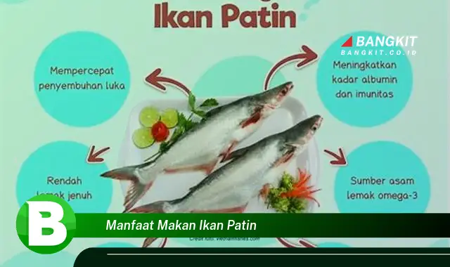 Temukan Manfaat Makan Ikan Patin yang Wajib Kamu Intip!