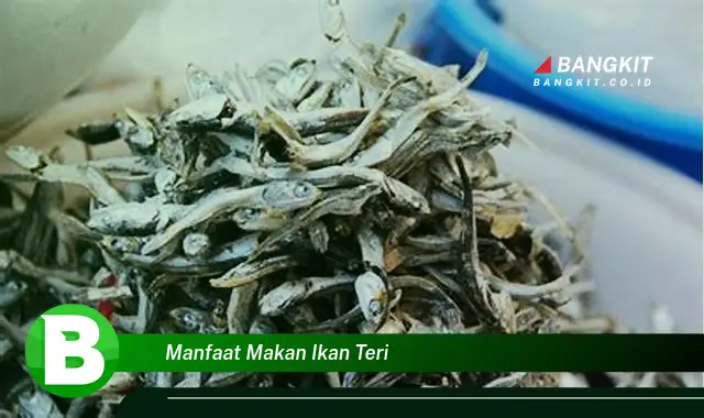 Temukan Manfaat Makan Ikan Teri yang Bikin Kamu Penasaran!