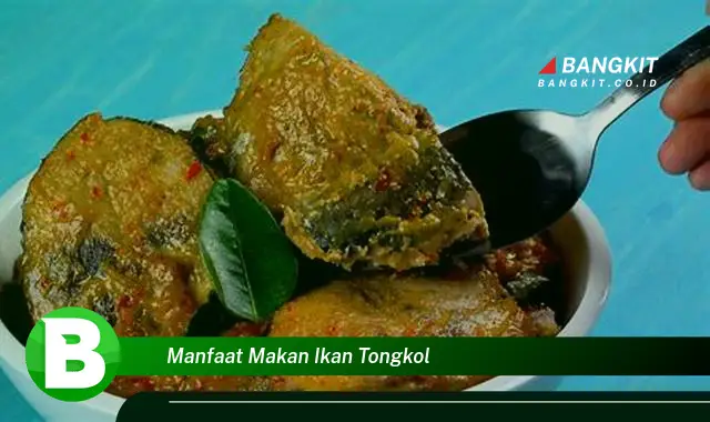 Intip Manfaat Makan Ikan Tongkol yang Wajib Kamu Tahu