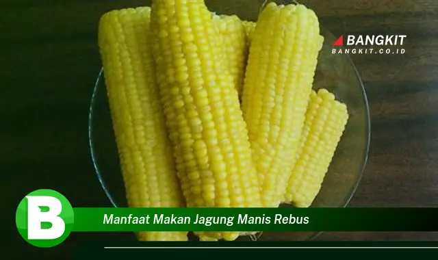 Ketahui Manfaat Makan Jagung Manis Rebus yang Bikin Kamu Penasaran