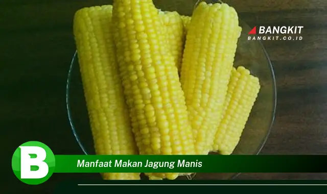 Temukan Manfaat Makan Jagung Manis yang Bikin Kamu Penasaran!