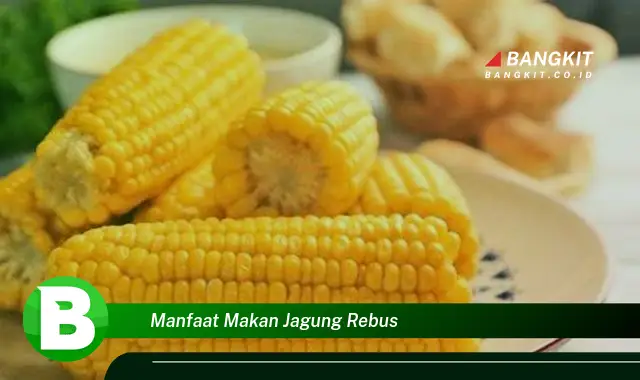 Ketahui Manfaat Makan Jagung Rebus yang Bikin Kamu Penasaran