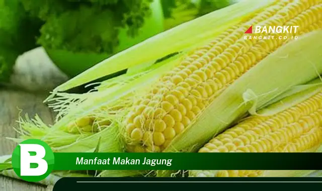 Ketahui Manfaat Makan Jagung yang Bikin Kamu Penasaran