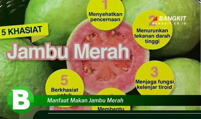 Temukan Manfaat Makan Jambu Merah yang Wajib Kamu Tau