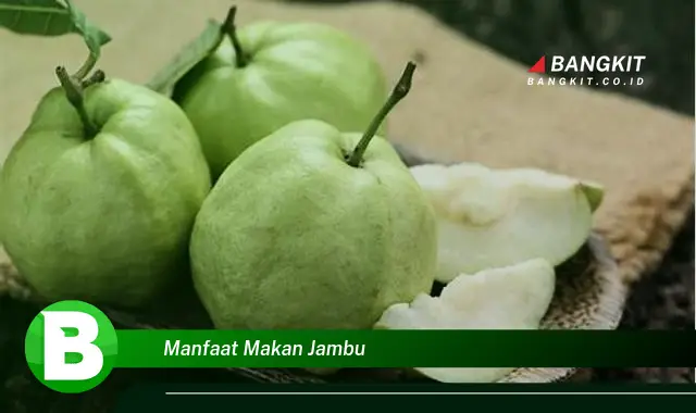 Temukan Manfaat Makan Jambu yang Bikin Kamu Penasaran!