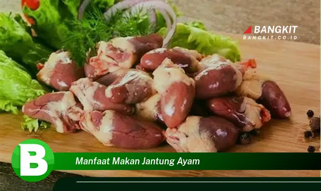 Intip Manfaat Jantung Ayam yang Bikin Kamu Penasaran