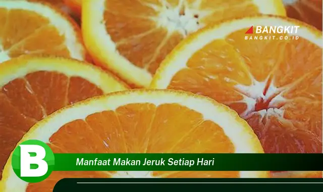 Temukan Manfaat Makan Jeruk Setiap Hari yang Wajib Kamu Intip