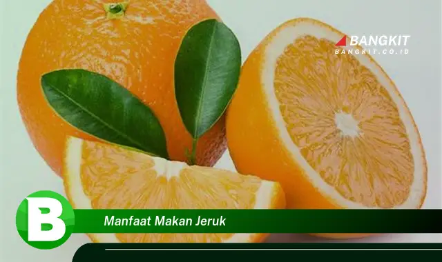 Temukan Manfaat Makan Jeruk yang Wajib Kamu Intip