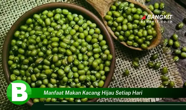 Ketahui Manfaat Makan Kacang Hijau Setiap Hari yang Bikin Kamu Penasaran