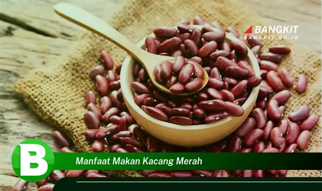 Temukan Manfaat Makan Kacang Merah yang Bikin Kamu Penasaran