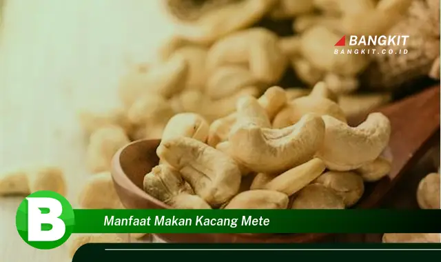 Ketahui Manfaat Makan Kacang Mete yang Wajib Kamu Tau