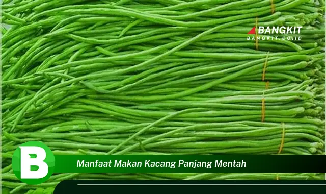 Ketahui Manfaat Makan Kacang Panjang Mentah yang Bikin Kamu Penasaran