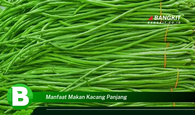 Ketahui Manfaat Makan Kacang Panjang yang Bikin Kamu Penasaran