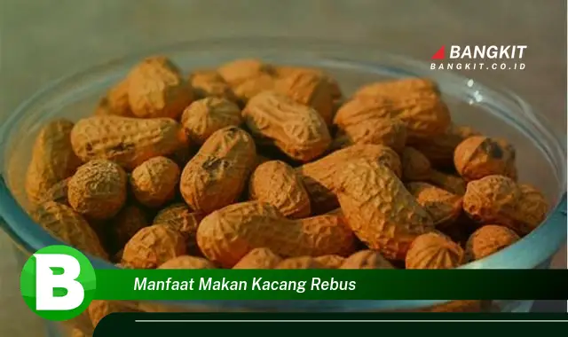 Temukan Manfaat Makan Kacang Rebus yang Bikin Kamu Penasaran!