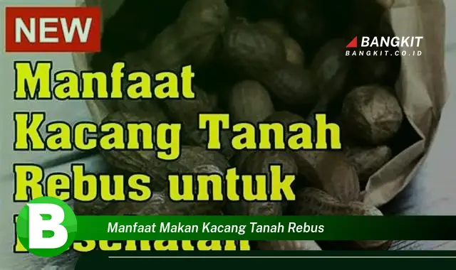 Intip Manfaat Makan Kacang Tanah Rebus yang Bikin Kamu Penasaran